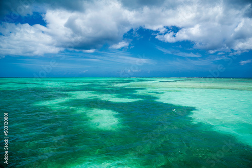 Fototapeta Naklejka Na Ścianę i Meble -  Buccoo Reef, Tobago, Republic of Trinidad and Tobago, Southern Caribbean