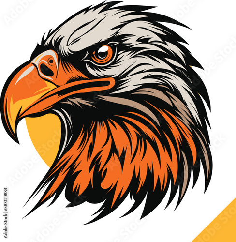 head of eagle