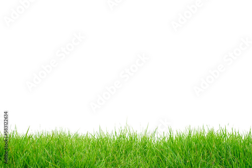 Fresh spring green grass panorama horizontal isolated on white background.