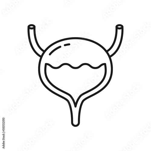 Human urinary bladder icon. High quality black vector illustration.