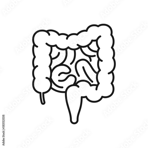 Human intestine icon. High quality black vector illustration.