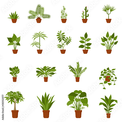 Home pot flower plant vector illustration set. Indoor office house gardening horticulture nature lifestyle flat style collection
