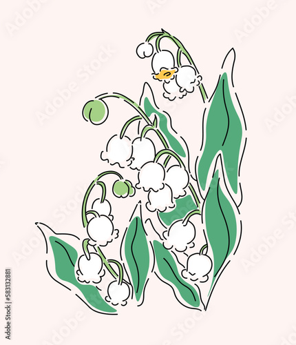 Hand drawn lily of valley vector, wildflower line art