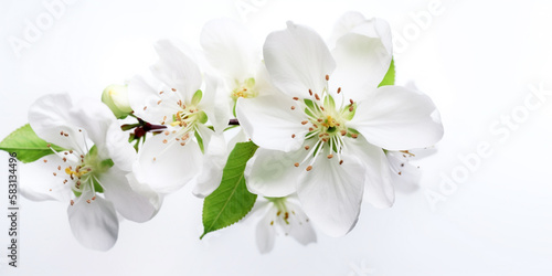 The Beauty of Simplicity: Apple Blossoms in a White Space. AI Generated Art. Concept Art, Whitespace, Background, Wallpaper.