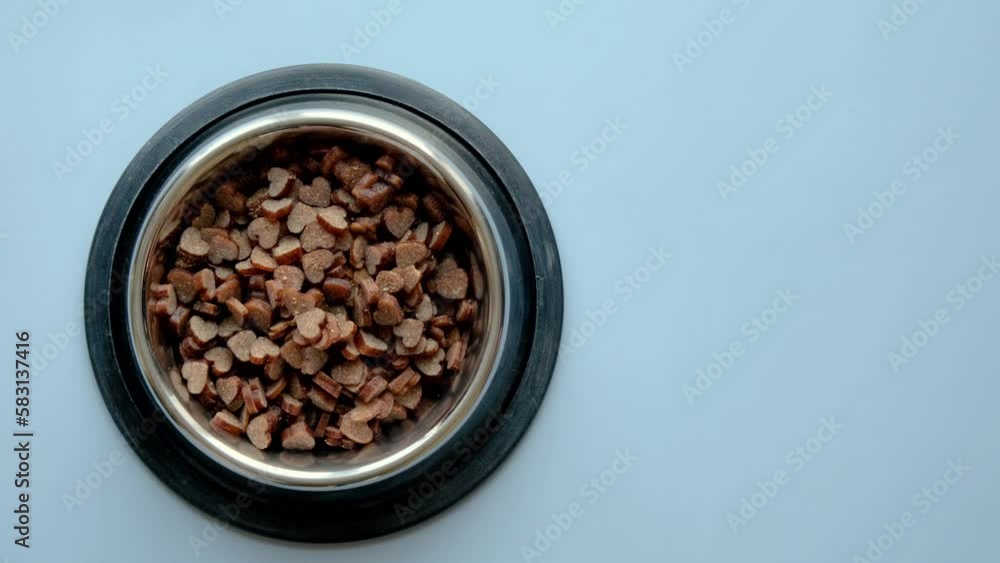 The hand puts a bowl of pet food. A metal bowl with heart-shaped food on a blue background with space for text The hand puts a bowl of pet food. A metal bowl with heart-shaped food on a blue background with space for text