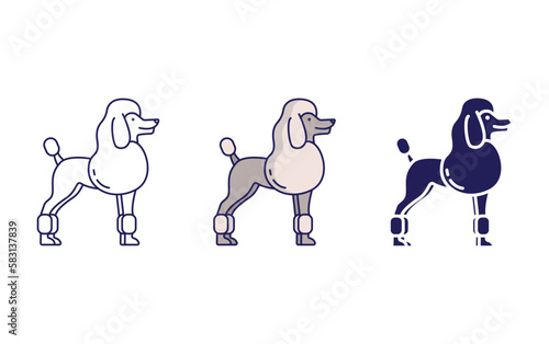 French poodle vector icon