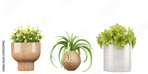 Cutting-Edge Natural Transparent Plant & flower with pot Cut-Outs transparency backgrounds illustration png