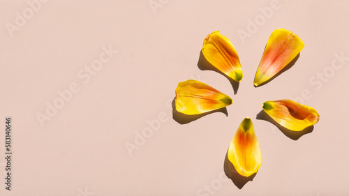 Tulip petals are falling down.
I made a flower shape. #583140646