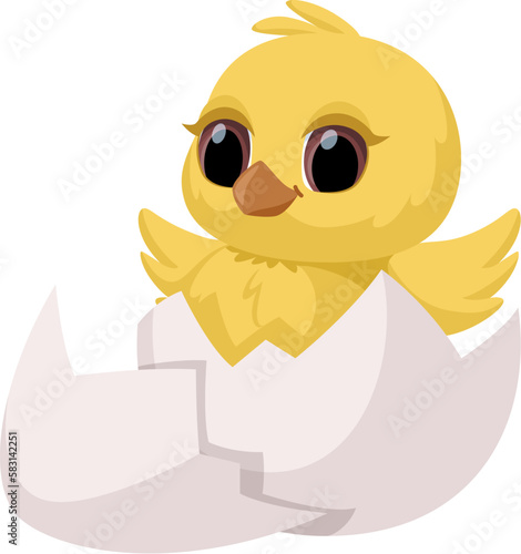 Cute hatched chick. A newborn chick in a cracked egg. Vector cartoon illustration for Easter and more. Isolated on white background.