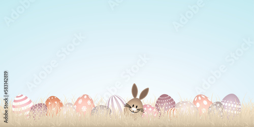 Banner Braunes Hasenei Mit 14 Ostereiern Weißes Muster Wiese Beige Verschiedene Farben Himmel