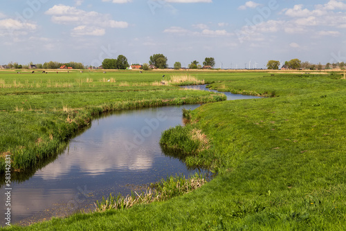 Winding narrow river flows through the flat polder landscape with grazing cows. photo