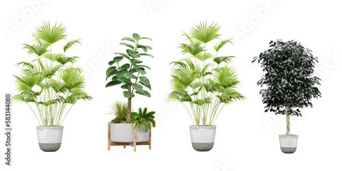 Green and Serene, Beautiful Transparent Plant Cut-Outs transparency backgrounds illustration png