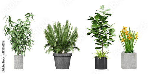 Gorgeous Transparent background Plant Images Plant Cut-Outs Isolated Greenery