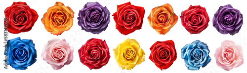 set of isolated different colored rose flowers. Created with Generative AI