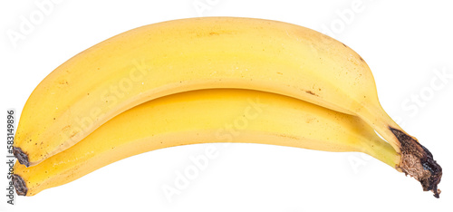 Bunch of bananas isolated on white or transparent background