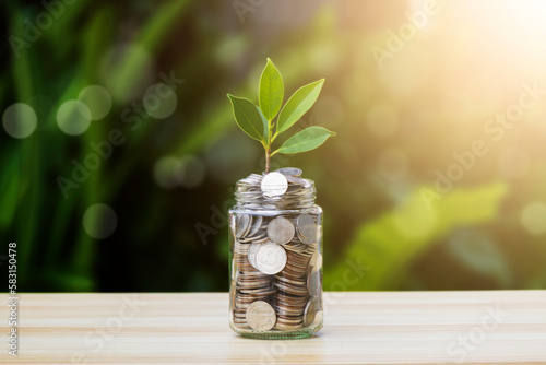 A glass jar with coins and seedlings lay on the table. Growing Plants in Savings Coins - Investment and Interest Ideas