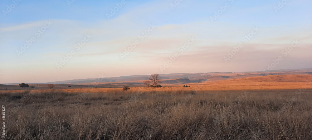Fototapeta premium Savanna landscapes in Ezemvelo Nature Reserve