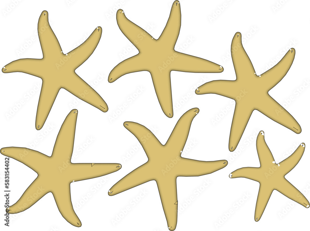 Little starfish illustration vector sketch