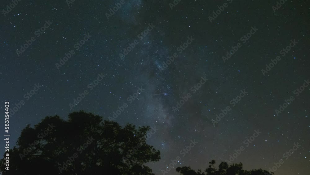 A starry sky with a milky trail and the silhouette of a lush tree. Aircraft lights whizzing across the sky. A time lapse of a clear starry sky A starry sky with a milky trail and the silhouette of a lush tree. Aircraft lights whizzing across the sky. A time lapse of a clear starry sky