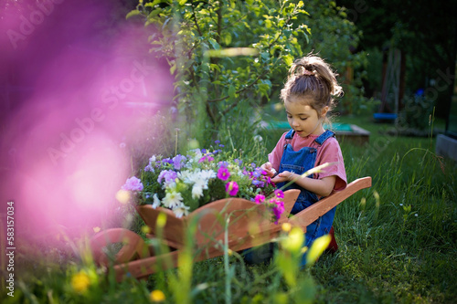 Little girl with wooden wheelbarrow full of flowers.