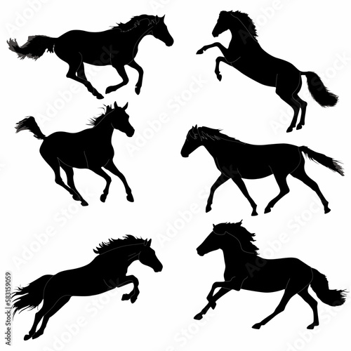 A set of high quality detailed horse silhouettes, logos, icons