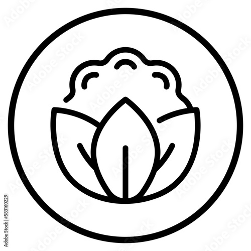 cauliflower line icon