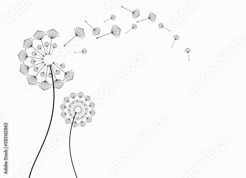 Abstract background of a dandelion for design. The wind blows the seeds of a dandelion