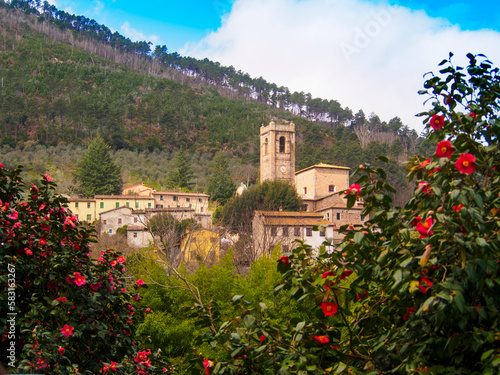 Italia, Toscana, Lucca, il paese di Pieve di Compito, veduta del pese e la chiesa di  Sant'Andrea, con camelie.