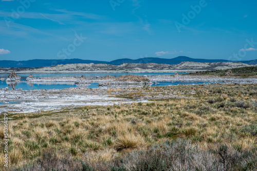 Mono Lake Views