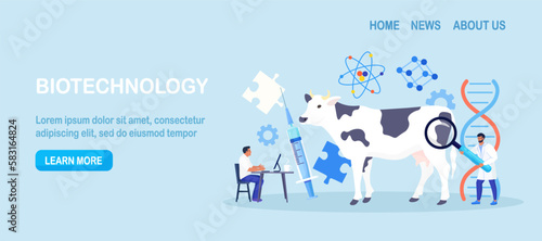 Biology scientists doing research cow dna. Genetically modified animals. Gene technology. Bioengineering. People doing experiments in lab with animal. Veterinary worker making test and analysis