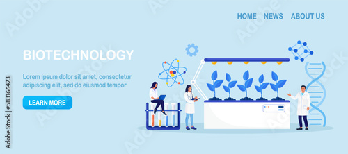 Biotechnology. Engineers growing green sprouts, plants in soil with cultivation equipment in science laboratory. Science experiment, molecular analysis, biological research for medical herb purpose