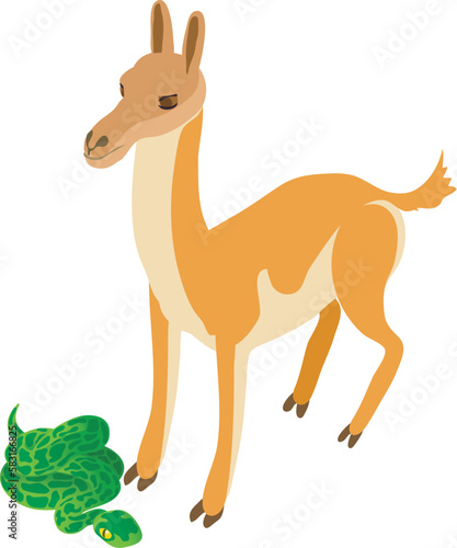 Wild animal icon isometric vector. Young alpaca animal near big green anaconda. Biological diversity concept