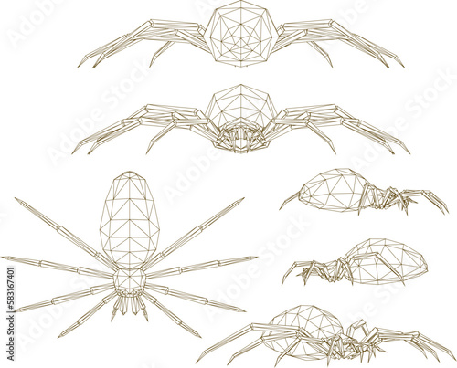 sketch vector illustration of a poisonous spider