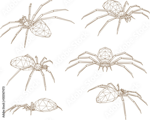 sketch vector illustration of a poisonous spider