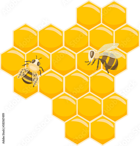 Fototapeta Naklejka Na Ścianę i Meble -  Bee and honey collections