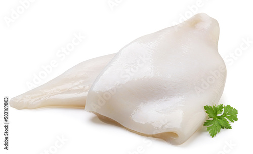 Squid with parsley leaves close-up on a white background. Isolated