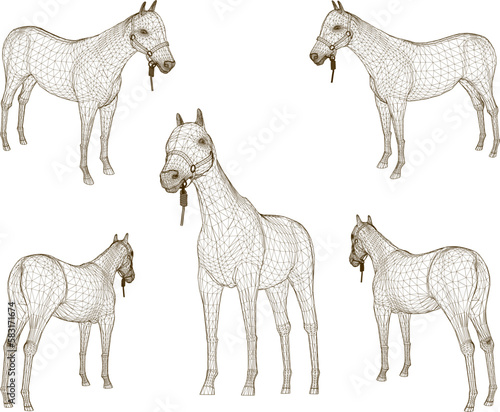 sketch vector illustration of tame horse on nature farm