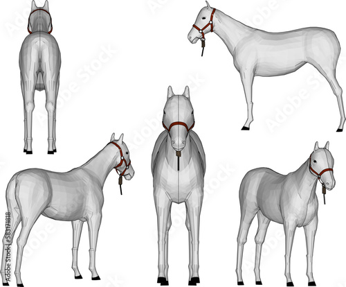sketch vector illustration of tame horse on nature farm
