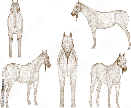 sketch vector illustration of tame horse on nature farm