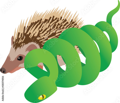 Living world icon isometric vector. Big tree boa near ordinary hedgehog icon. Biological diversity concept