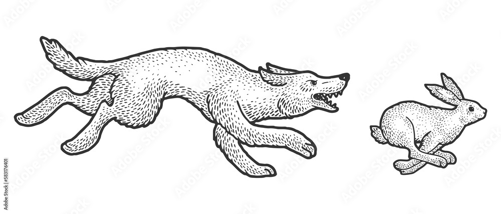 Obraz premium Wolf chasing hare sketch PNG illustration with transparent background