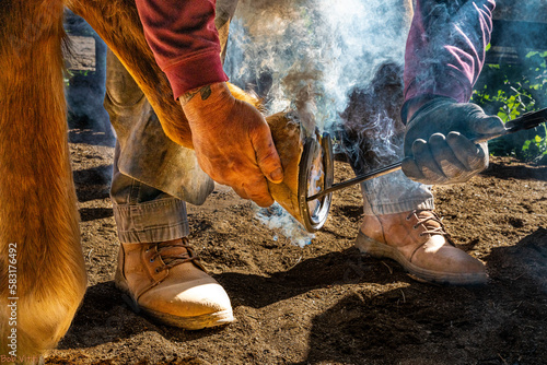 фотографія Blacksmith Shoeing Horse