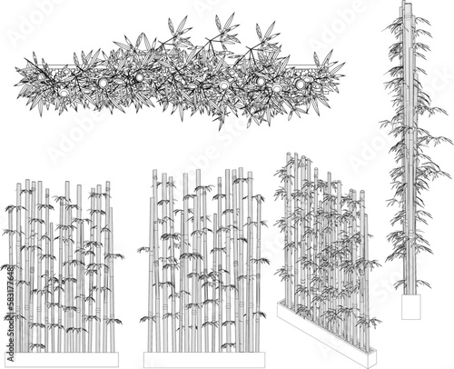 Vector sketch illustration of ornamental bamboo plant