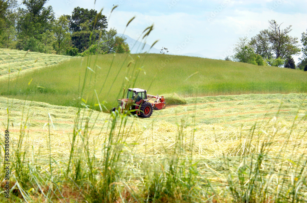 Fototapeta premium Tennessee Agriculture