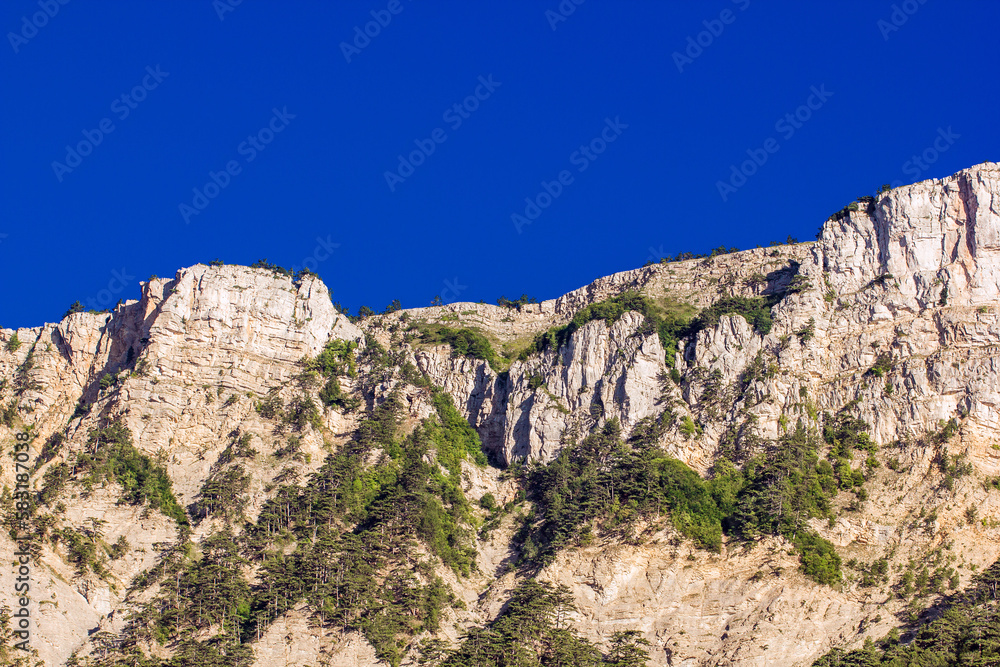 Mountains, rocky cliff overgrown with coniferous forest, pine trees, clear day