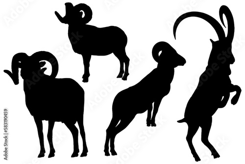 silhouette set of a ram ibex male sheep eps 10 transparent background