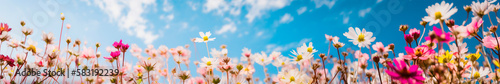 Flowers spring sky banner. Generative AI 