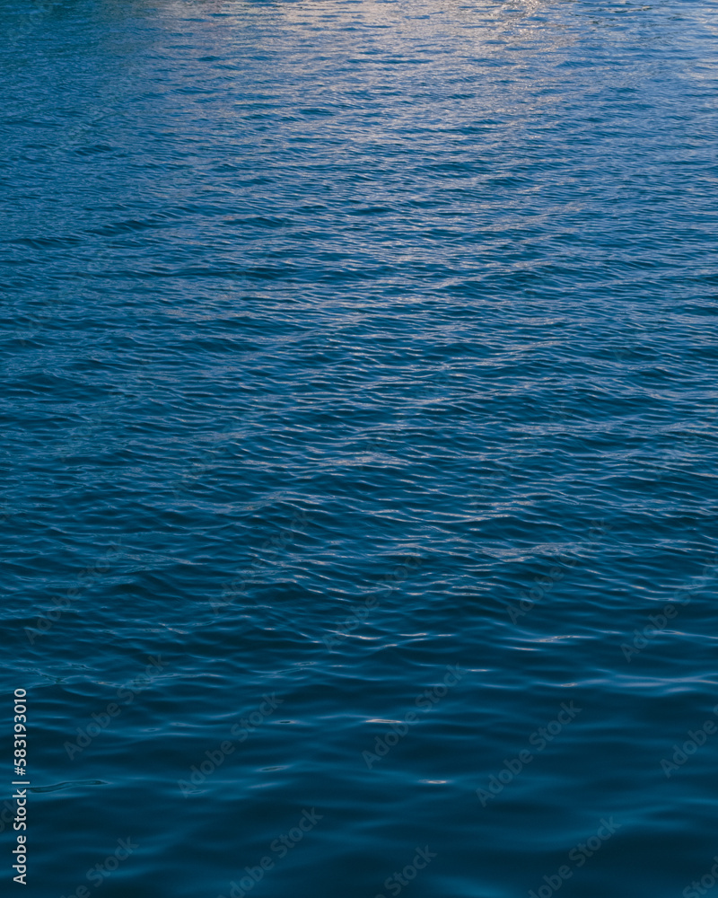 f11 海 f11 海