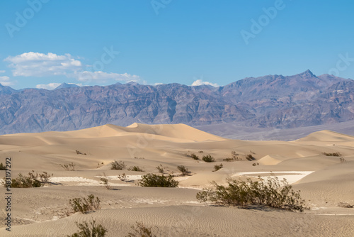 Panoramic view on Mesquite Flat Sand Dunes in Death Valley National Park, California, USA. Looking at dry Mojave desert on hot sunny summer day with Amargosa Mountain Range in the back. Landscape