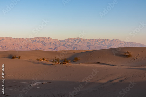 Panoramic view on natural pattern in sand during sunrise at Mesquite Flat Sand Dunes, Death Valley National Park, California, USA. Morning walk in Mojave desert with Amargosa Mountain Range in back